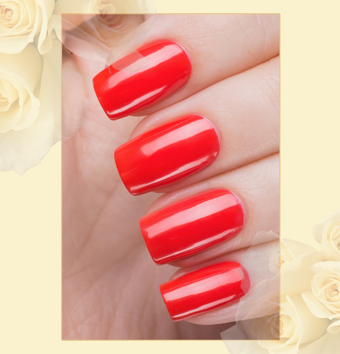 EL Corazon Charm and beauty 859