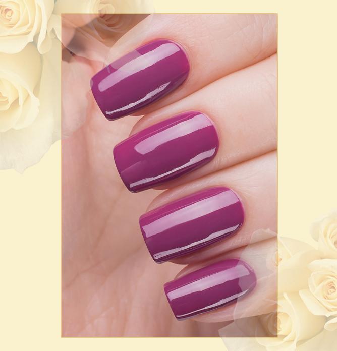 EL Corazon Charm and beauty 861