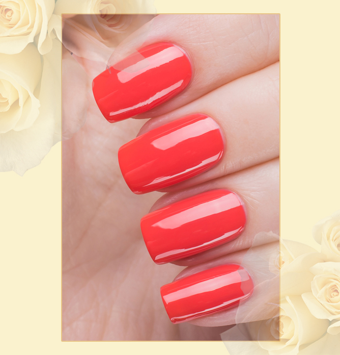 EL Corazon Charm and beauty 864