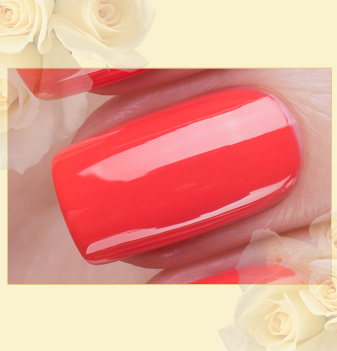 EL Corazon Charm and beauty 864