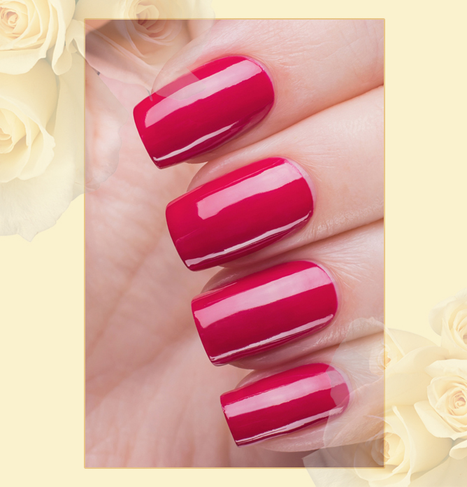 EL Corazon Charm and beauty 866