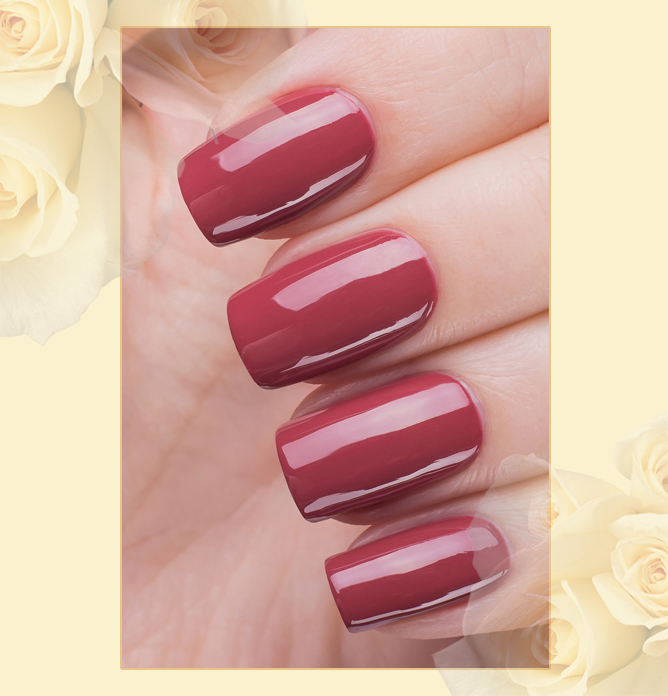 EL Corazon Charm and beauty 869