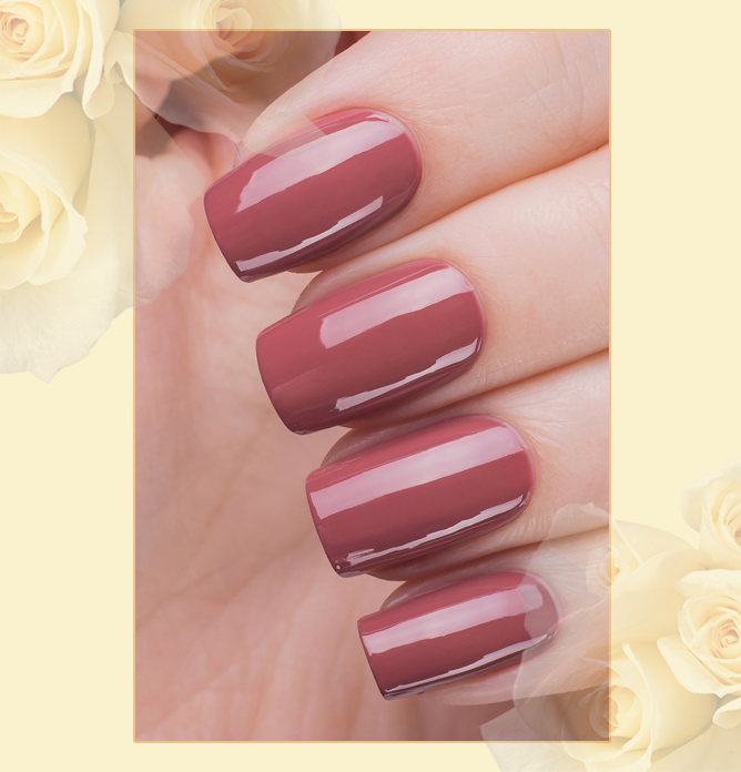 EL Corazon Charm and beauty 873