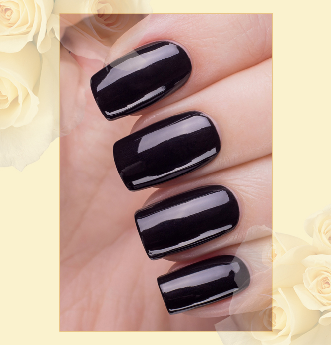 EL Corazon Charm and beauty 878