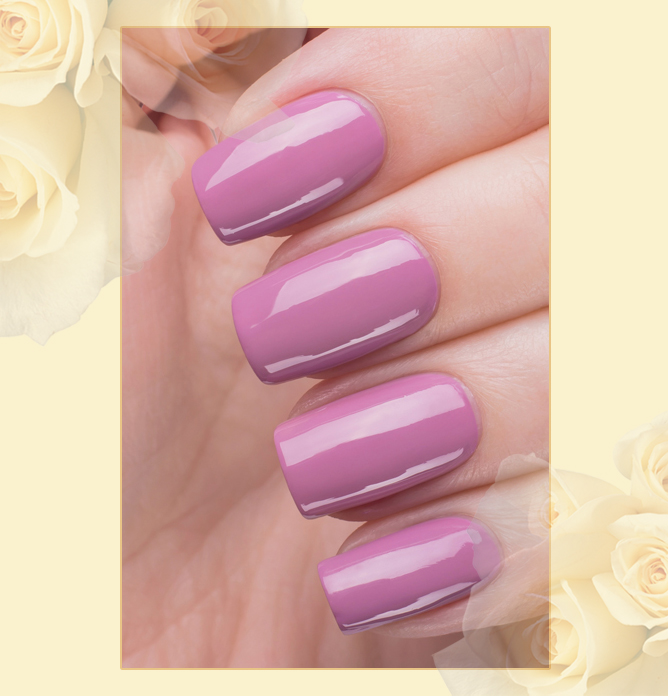 EL Corazon Charm and beauty 897