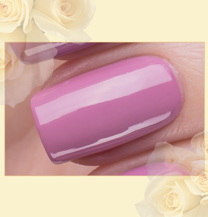 EL Corazon Charm and beauty 897