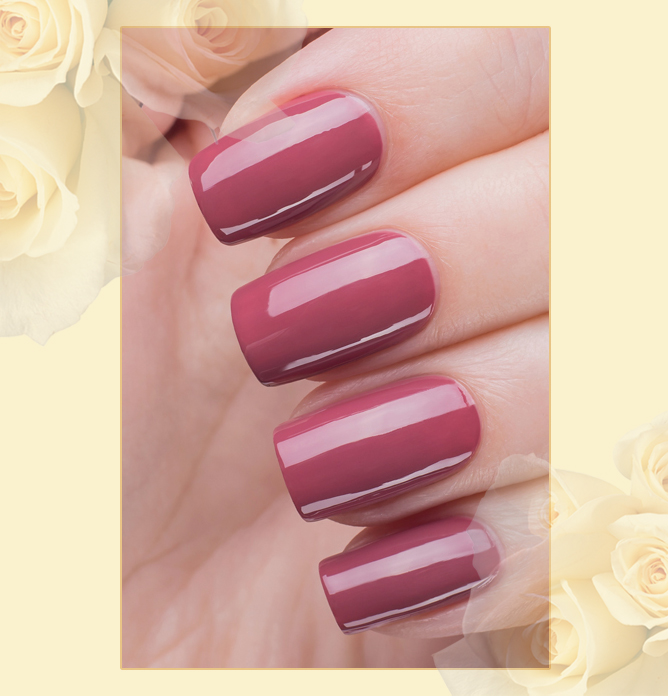 EL Corazon Charm and beauty 898