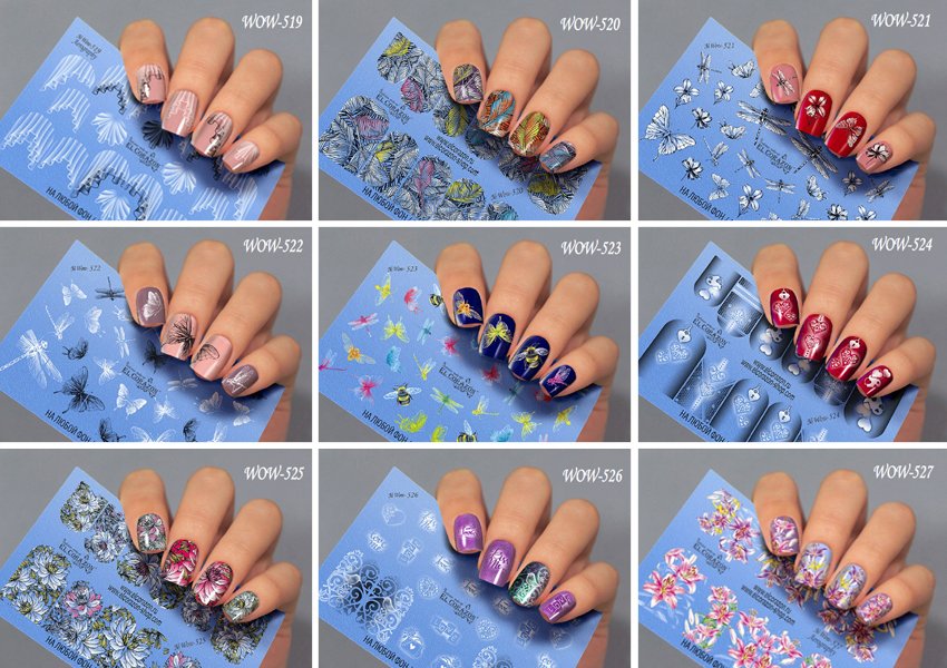 EL Corazon слайдер-дизайн Wow купить Украина